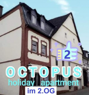 OCTOPUS-2 Monteurwohnung in Zentrum! 2-zkb im 2og